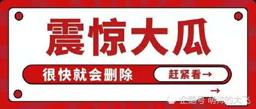 娱乐八卦吃瓜总汇421